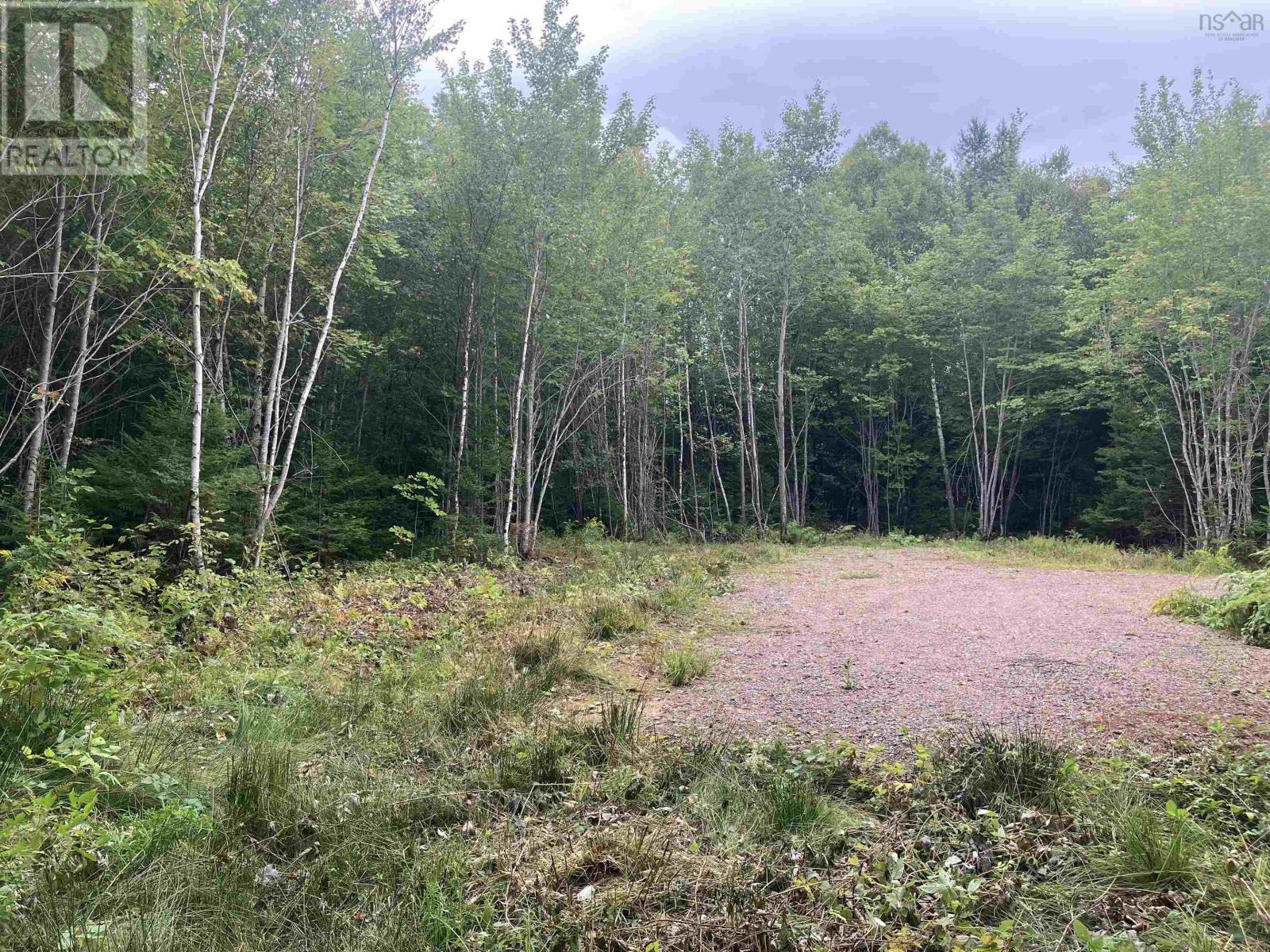 Lot 2020-5 Highway 223 Property Photo 3