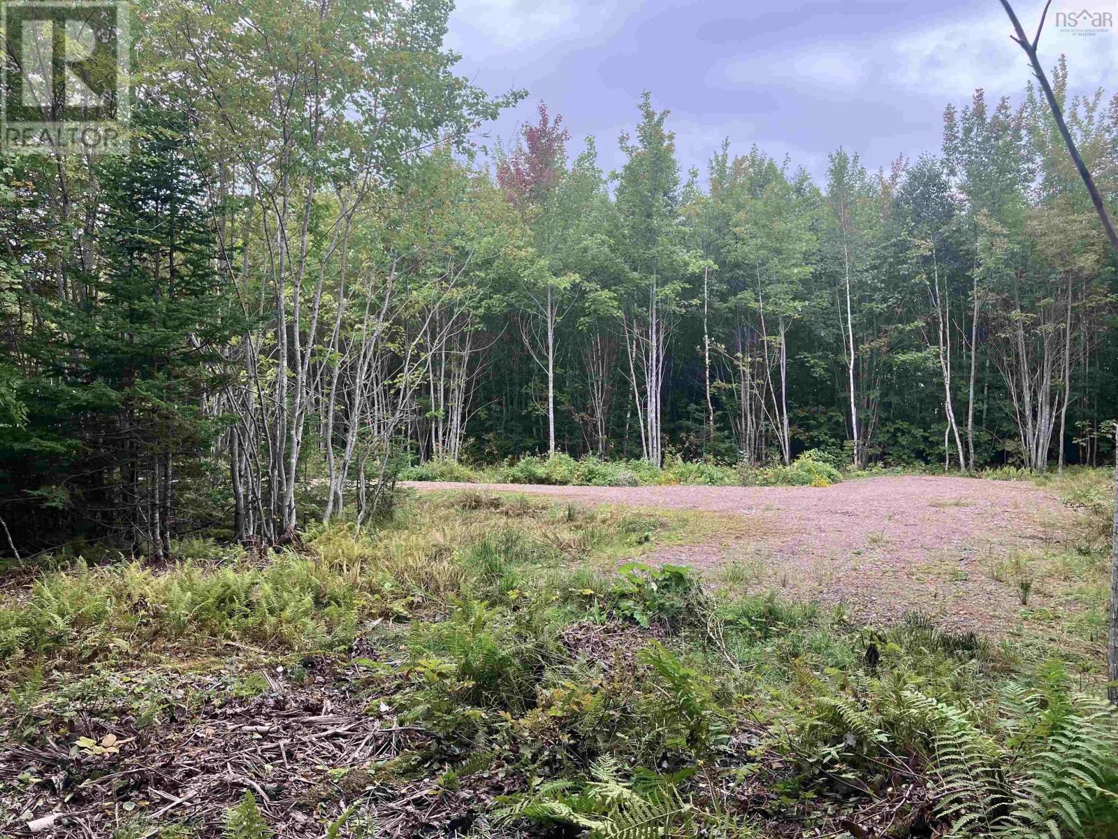 Lot 2020-5 Highway 223 Property Photo 4