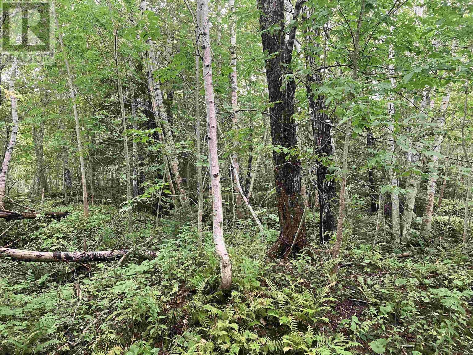 Lot 2020-5 Highway 223 Property Photo 5