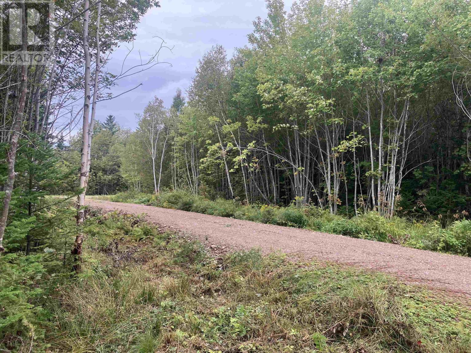Lot 2020-5 Highway 223 Property Photo 6