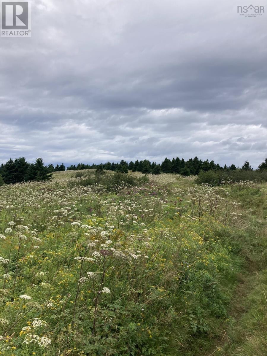 Lot Off Highway 247 Property Photo 2