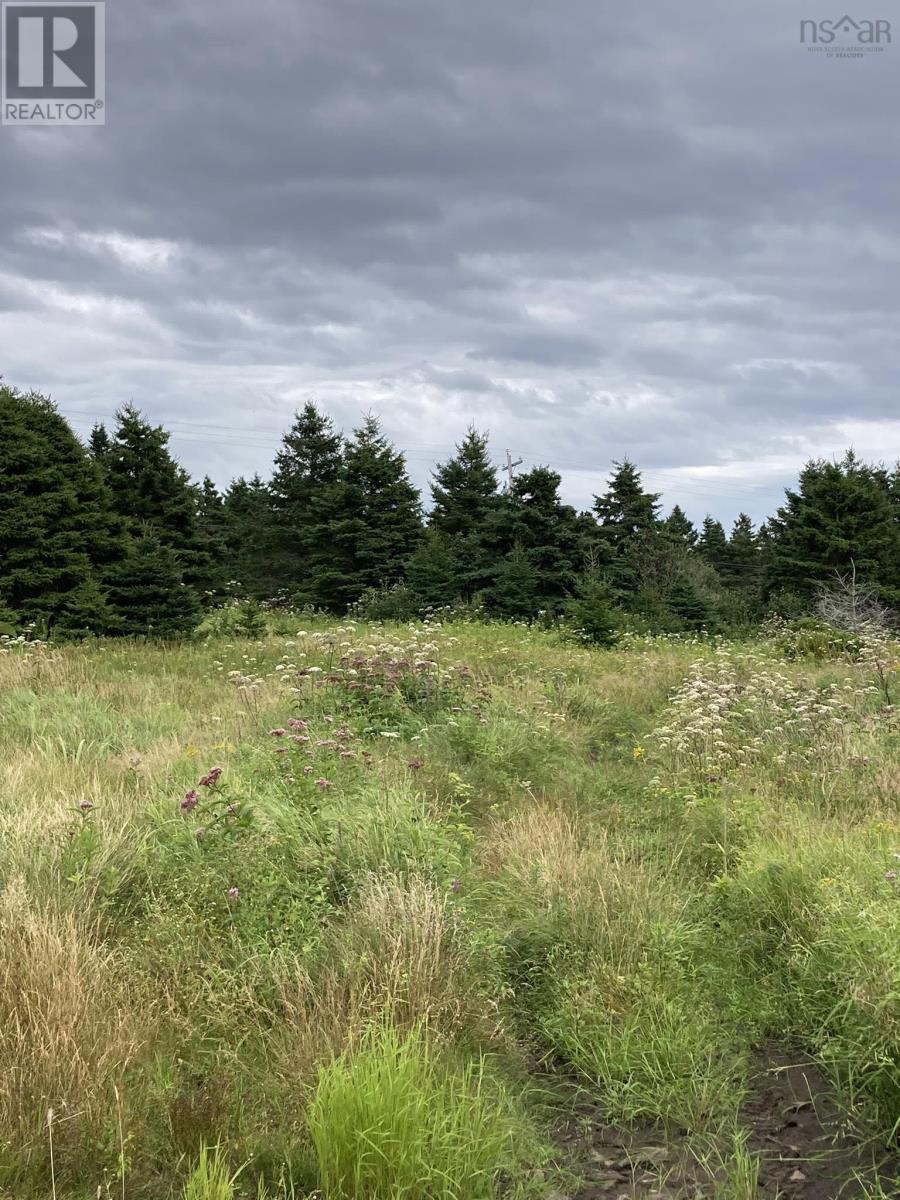 Lot Off Highway 247 Property Photo 4
