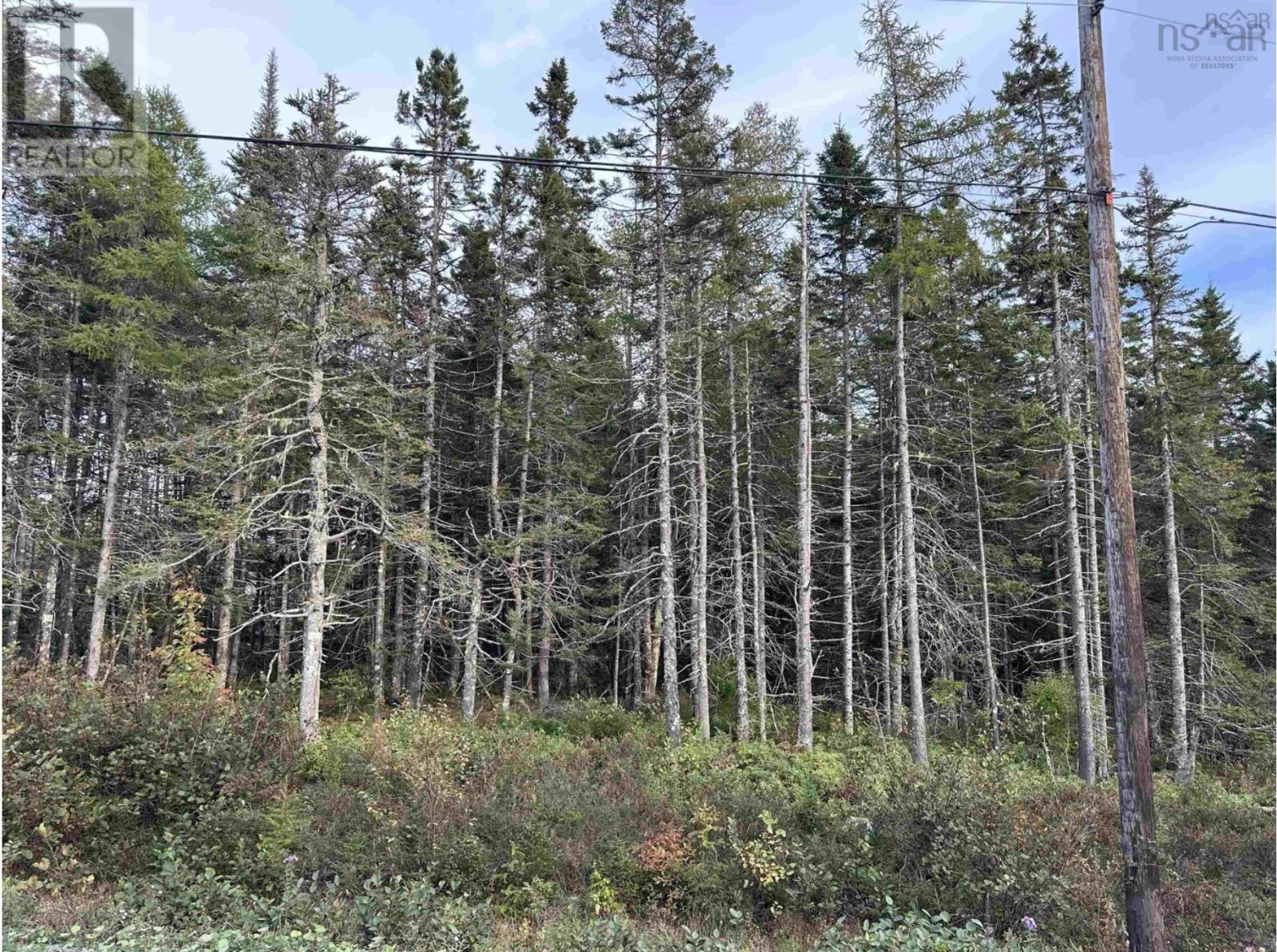 Point View Road Property Photo 1