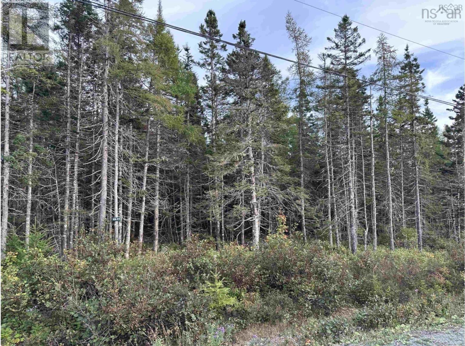 Point View Road Property Photo 2