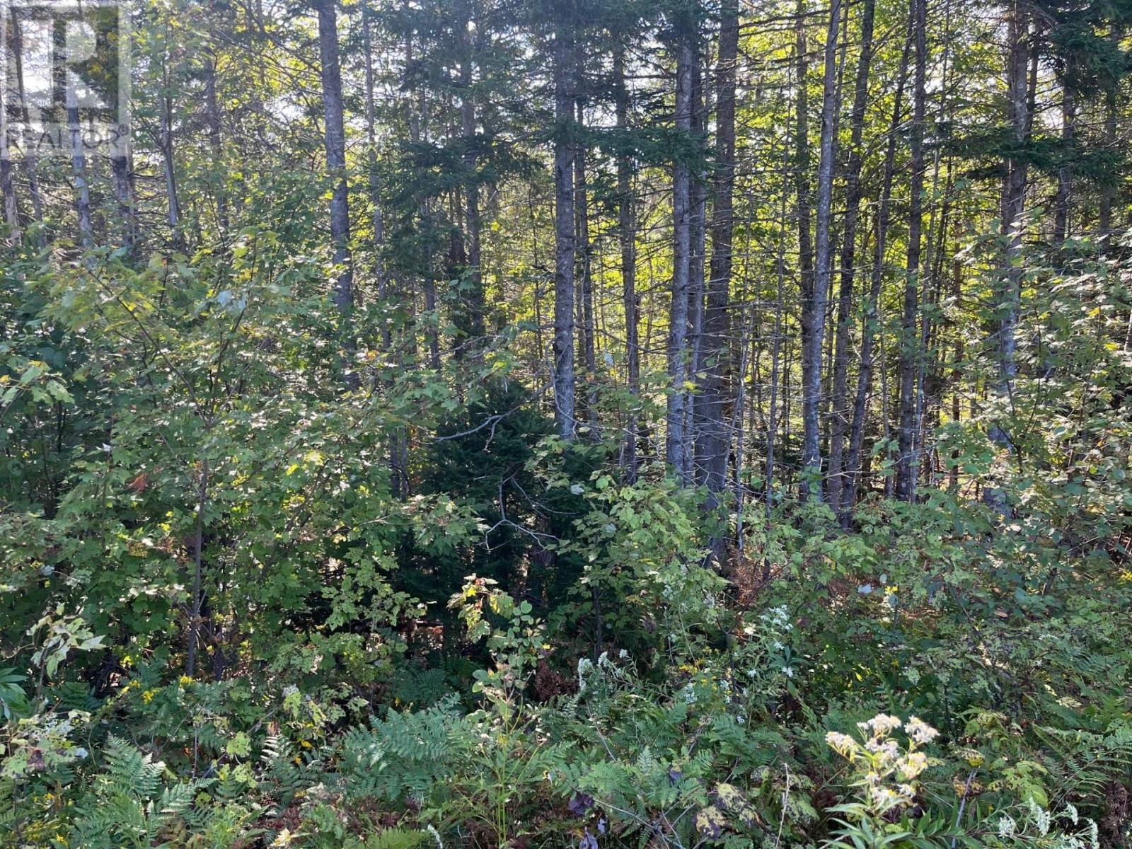 Highway 252 Property Photo 2