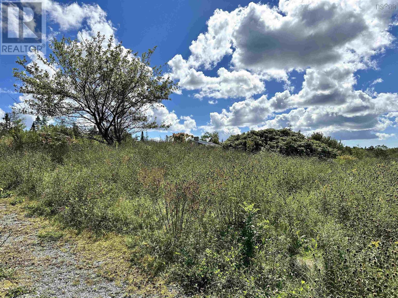 158 East River Road Property Photo 18
