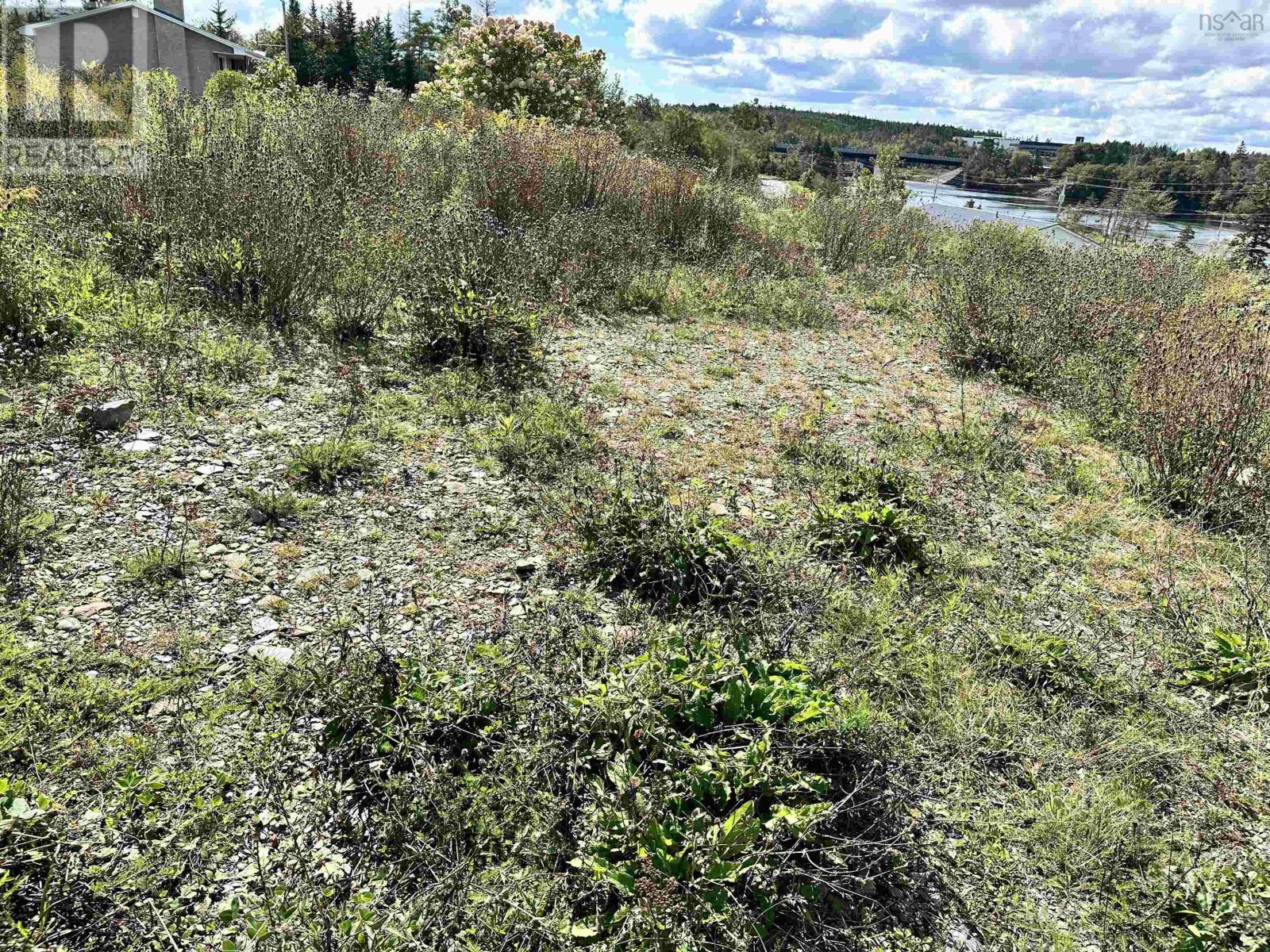 158 East River Road Property Photo 19