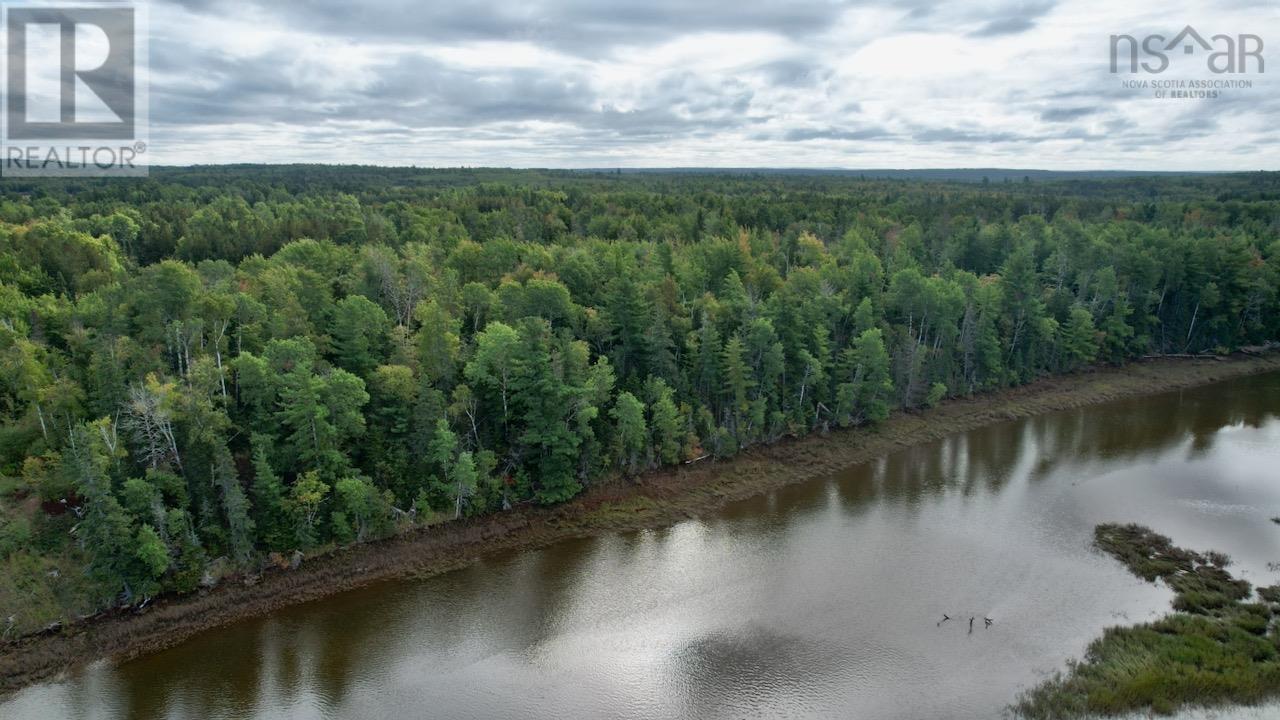 24-2 Highway 321 Highway Property Photo 8