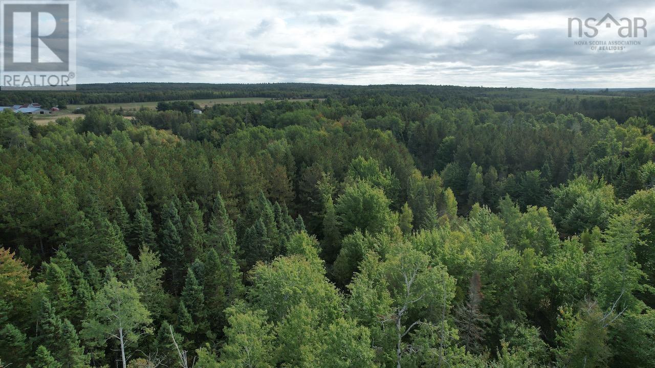 24-2 Highway 321 Highway Property Photo 9