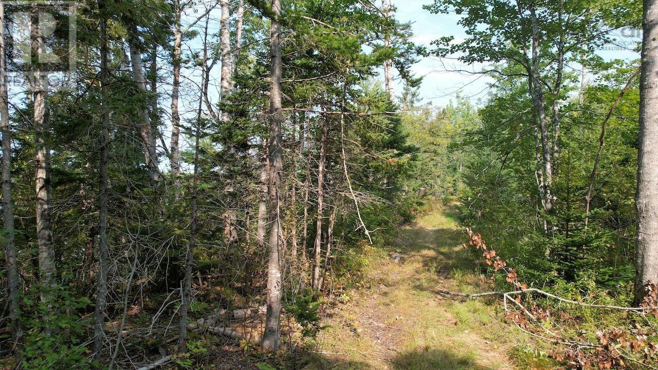 24-2 Highway 321 Highway Property Photo 14