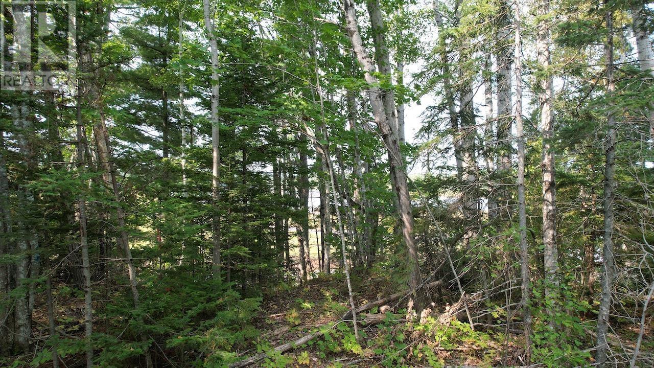 24-2 Highway 321 Highway Property Photo 15
