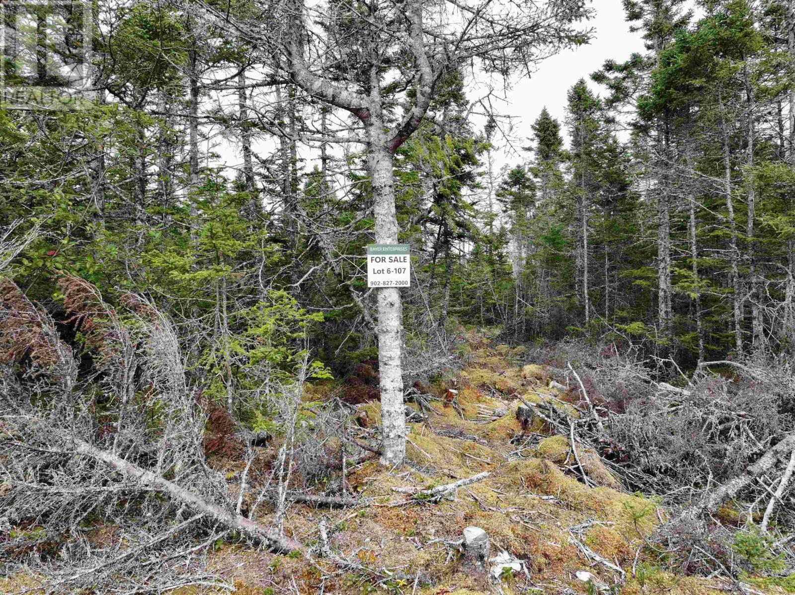 Lot 6-107 Ostrea Lake Road Property Photo 2