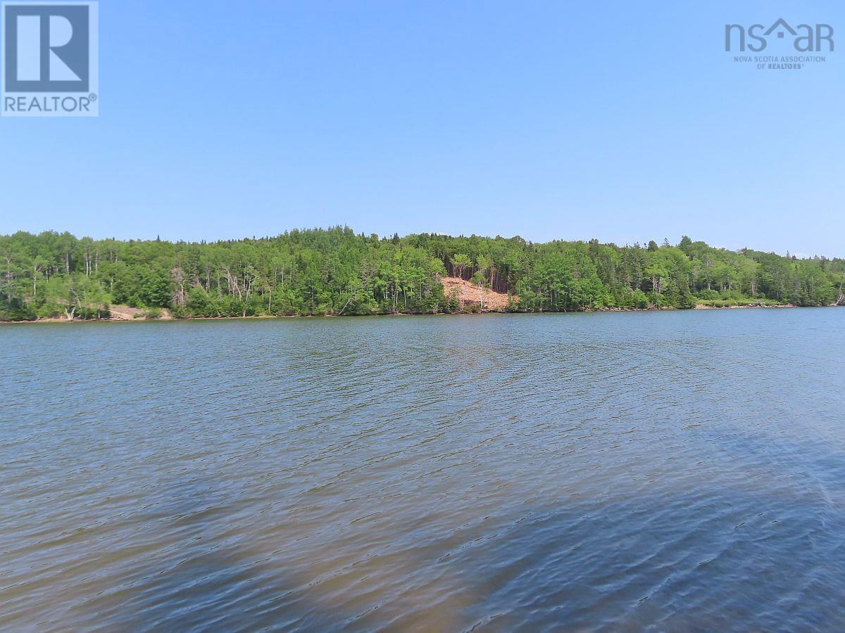 Lot 2 Lower River Road Property Photo 2