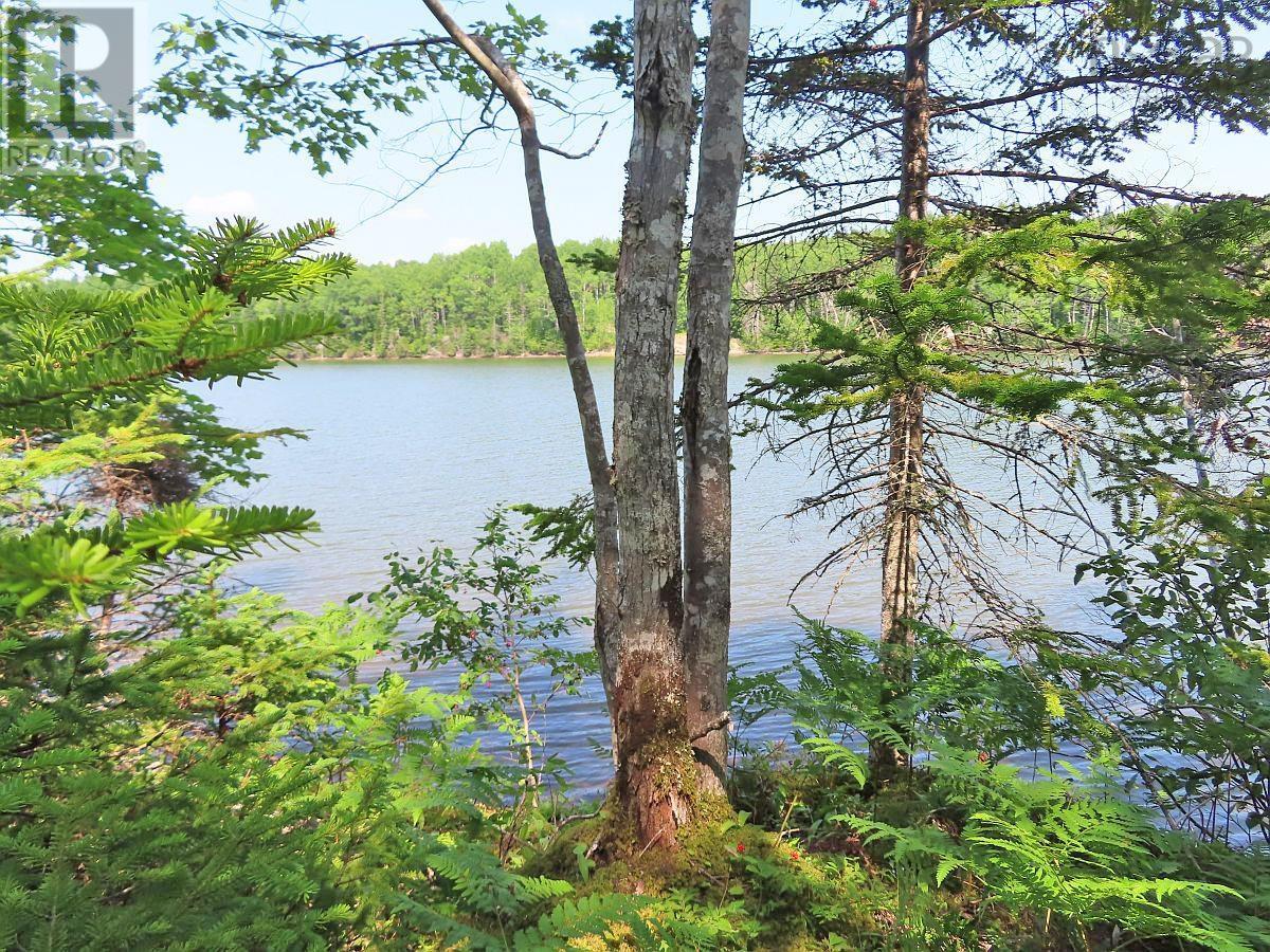 Lot 2 Lower River Road Property Photo 4