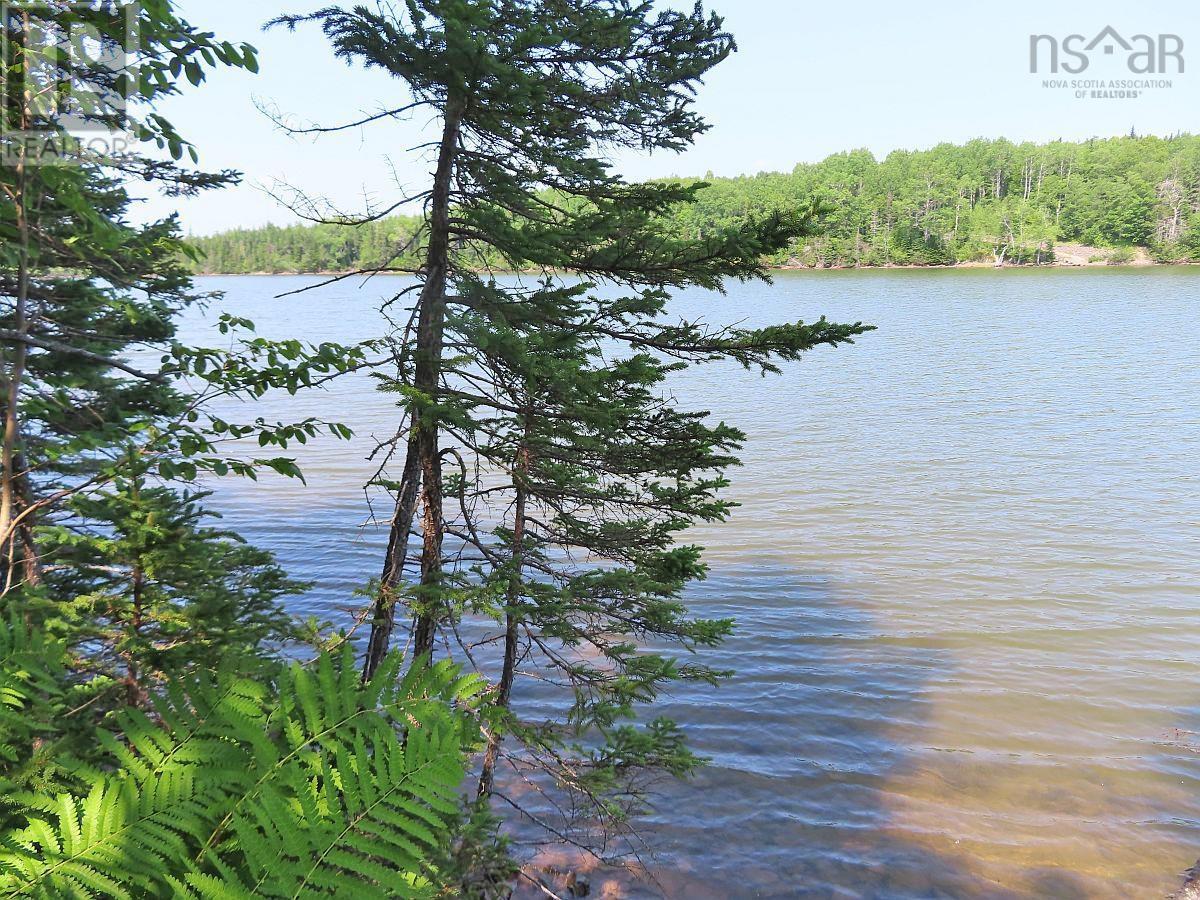 Lot 2 Lower River Road Property Photo 6
