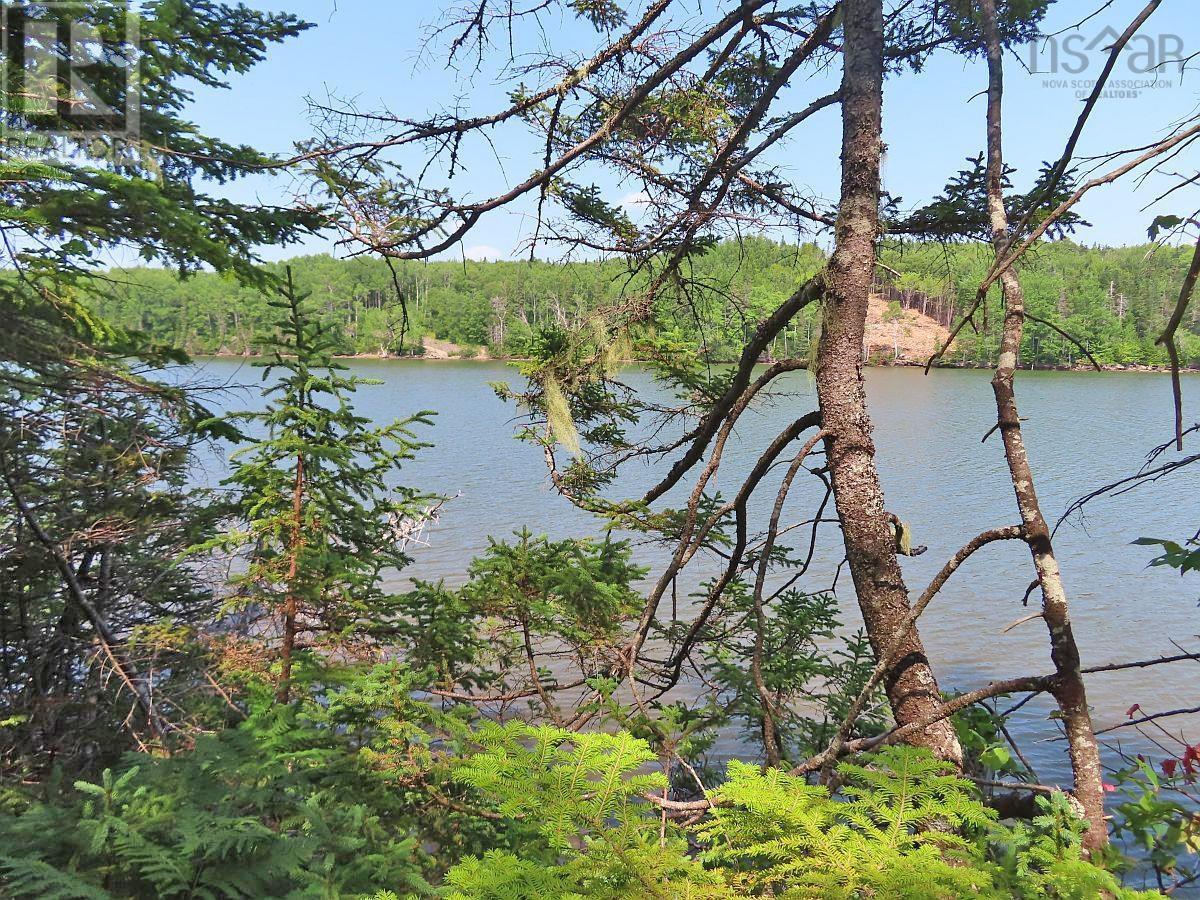 Lot 2 Lower River Road Property Photo 7
