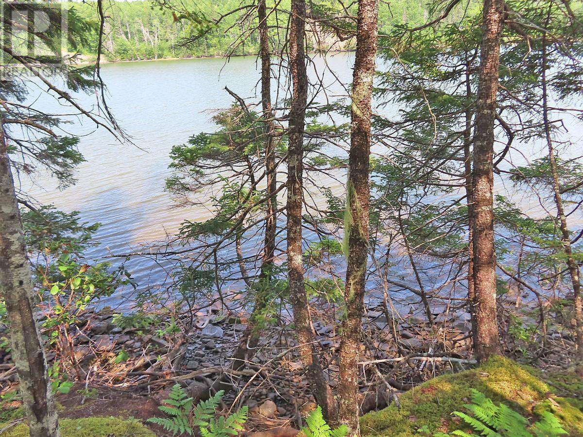 Lot 2 Lower River Road Property Photo 8