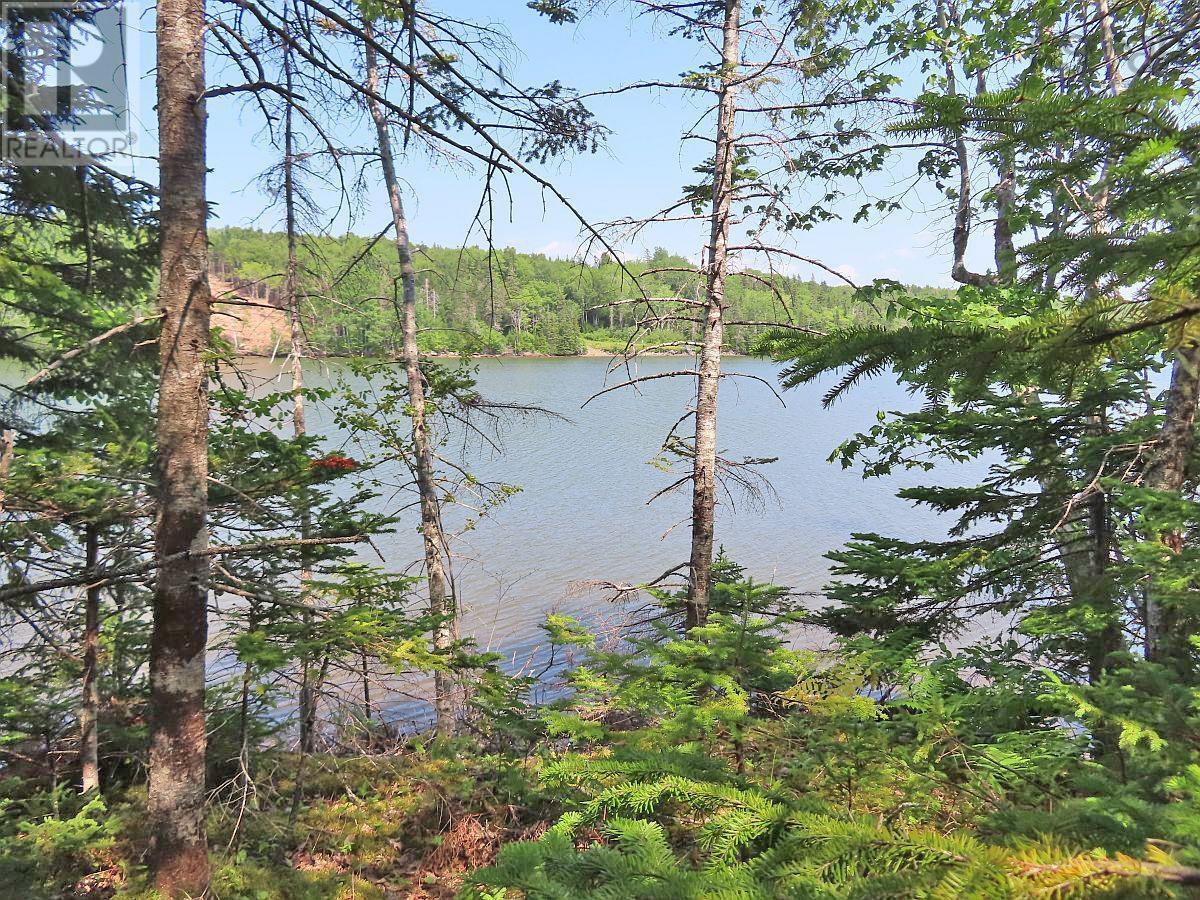 Lot 2 Lower River Road Property Photo 9
