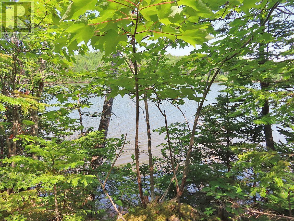 Lot 2 Lower River Road Property Photo 10