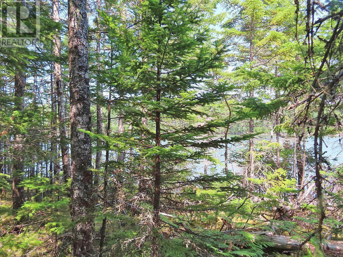 Lot 2 Lower River Road Property Photo 12