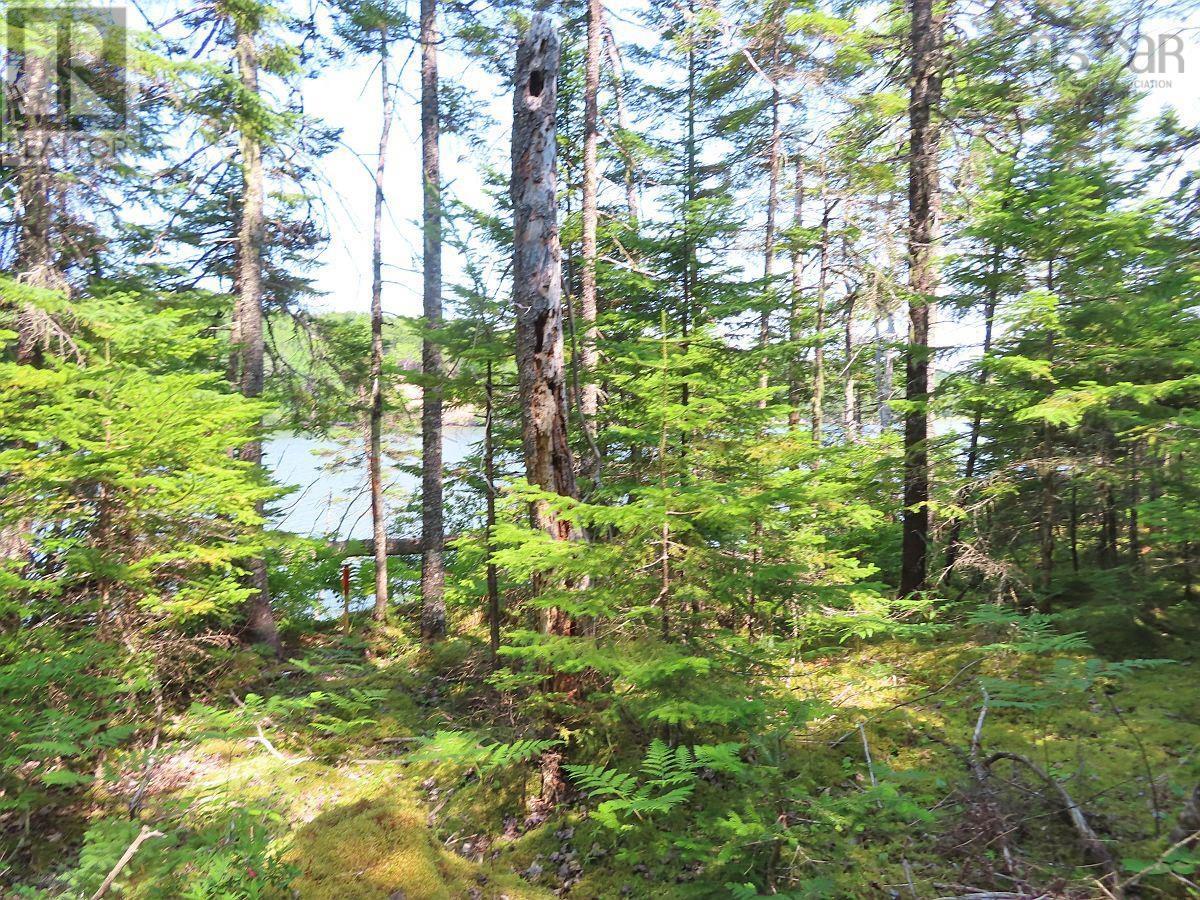 Lot 2 Lower River Road Property Photo 13