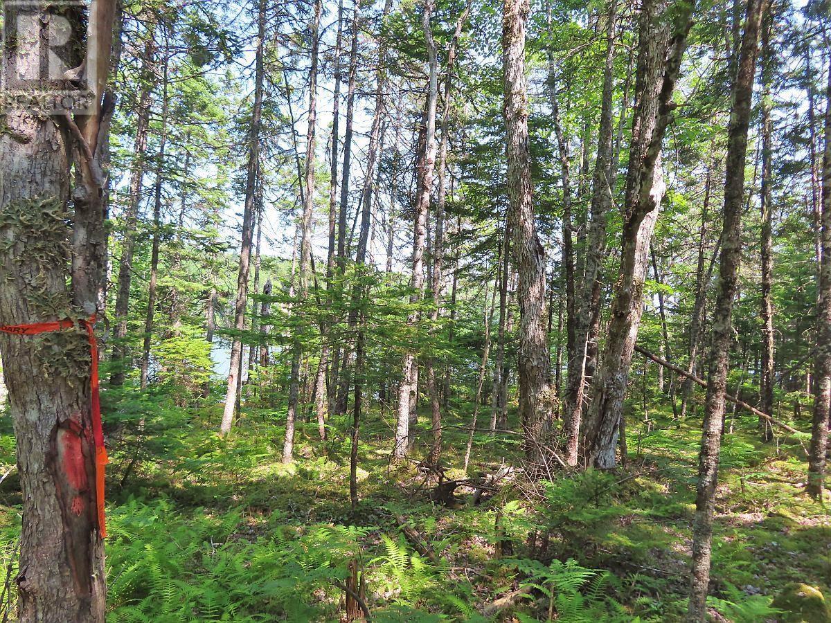 Lot 2 Lower River Road Property Photo 14