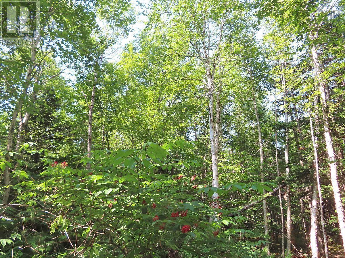 Lot 2 Lower River Road Property Photo 16