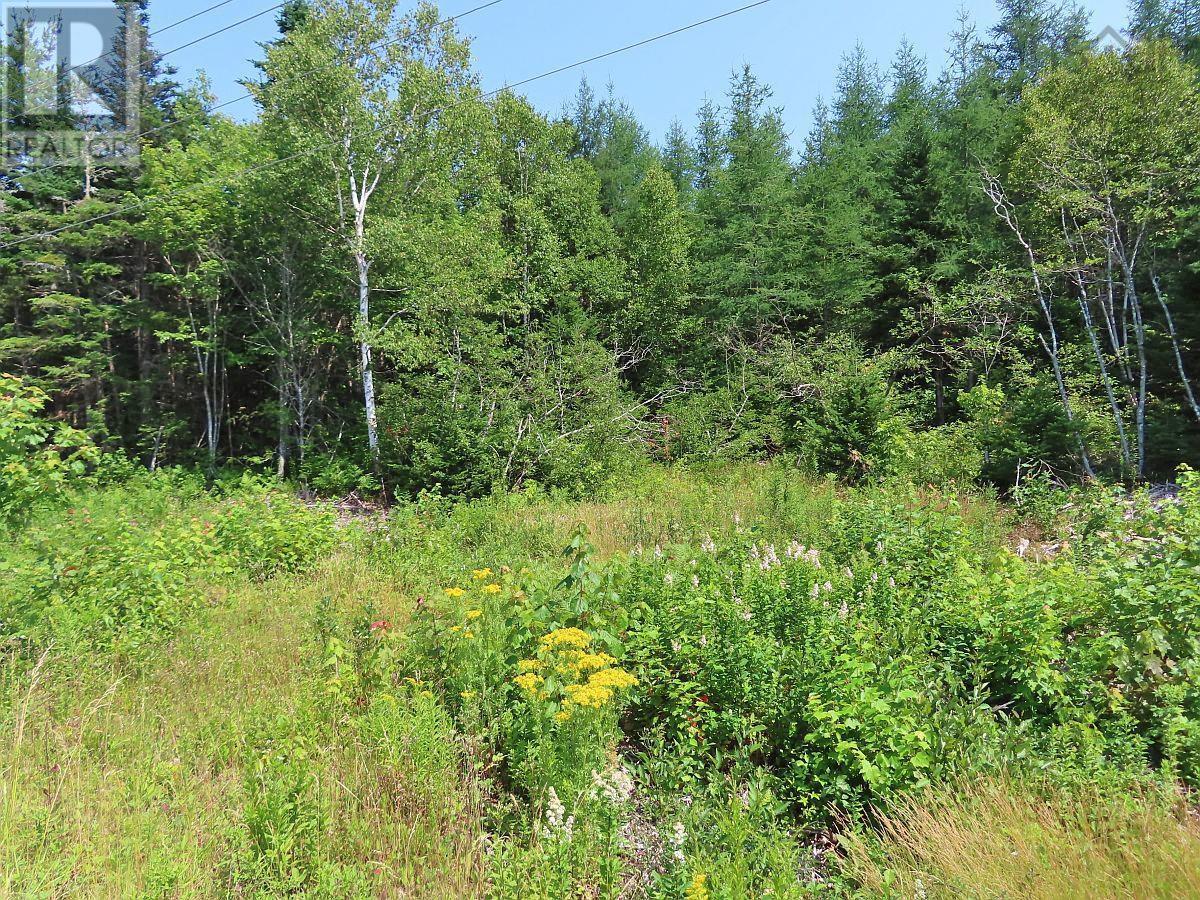 Lot 2 Lower River Road Property Photo 17