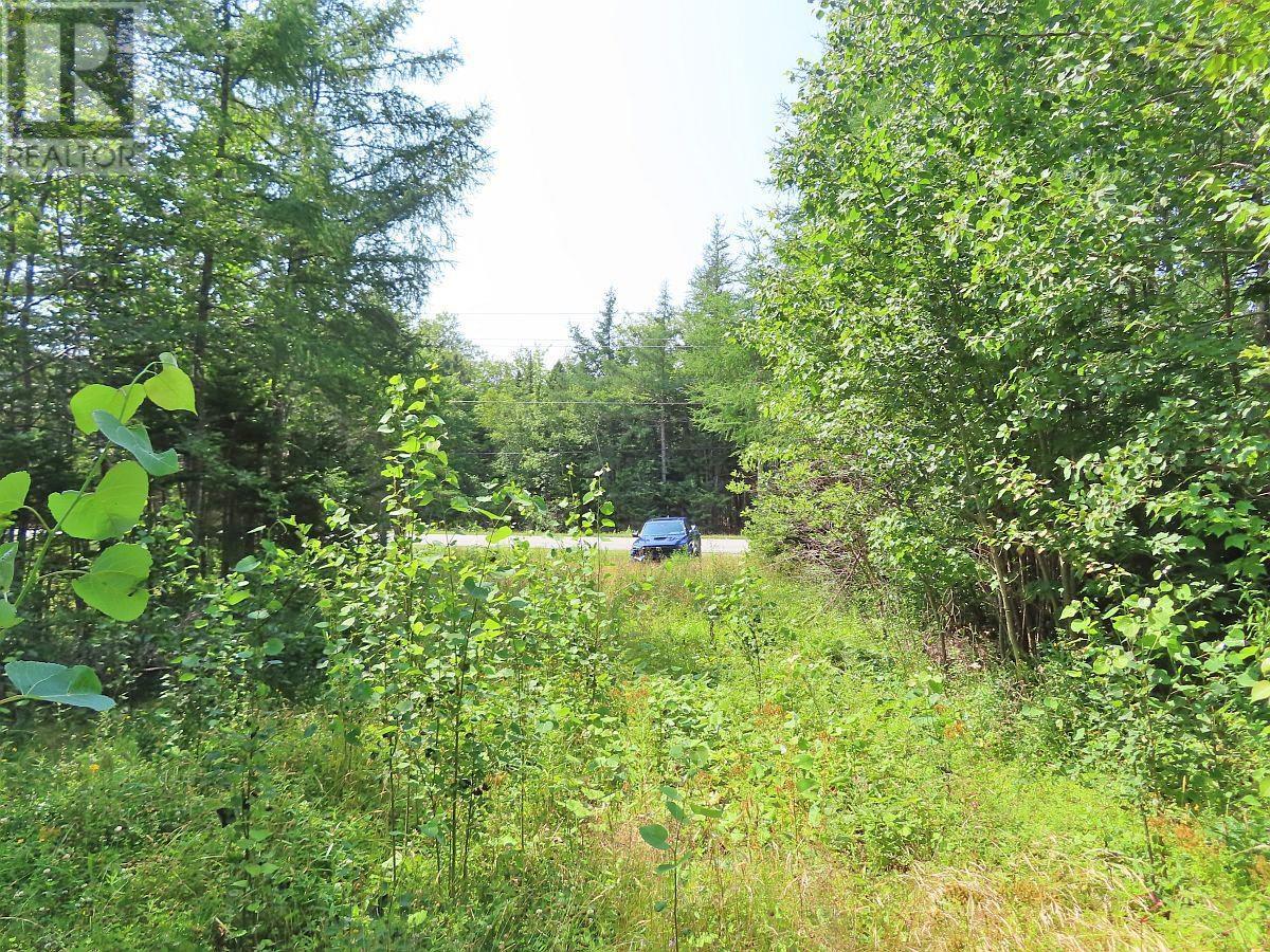 Lot 2 Lower River Road Property Photo 18