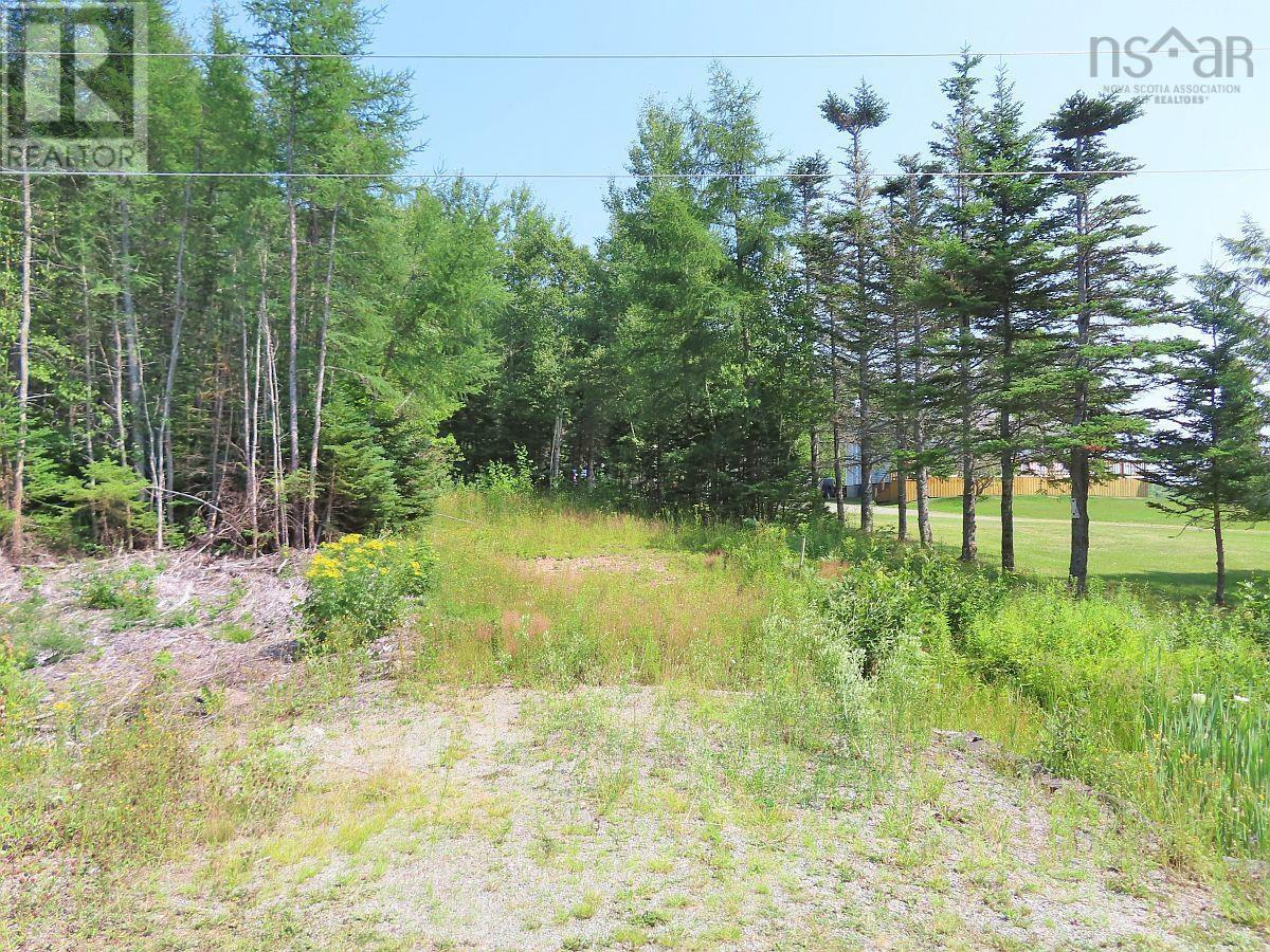Lot 2 Lower River Road Property Photo 19