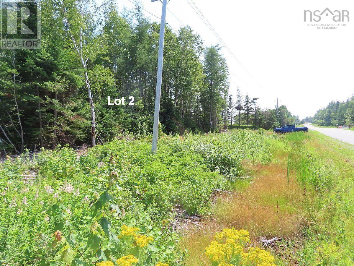 Lot 2 Lower River Road Property Photo 20