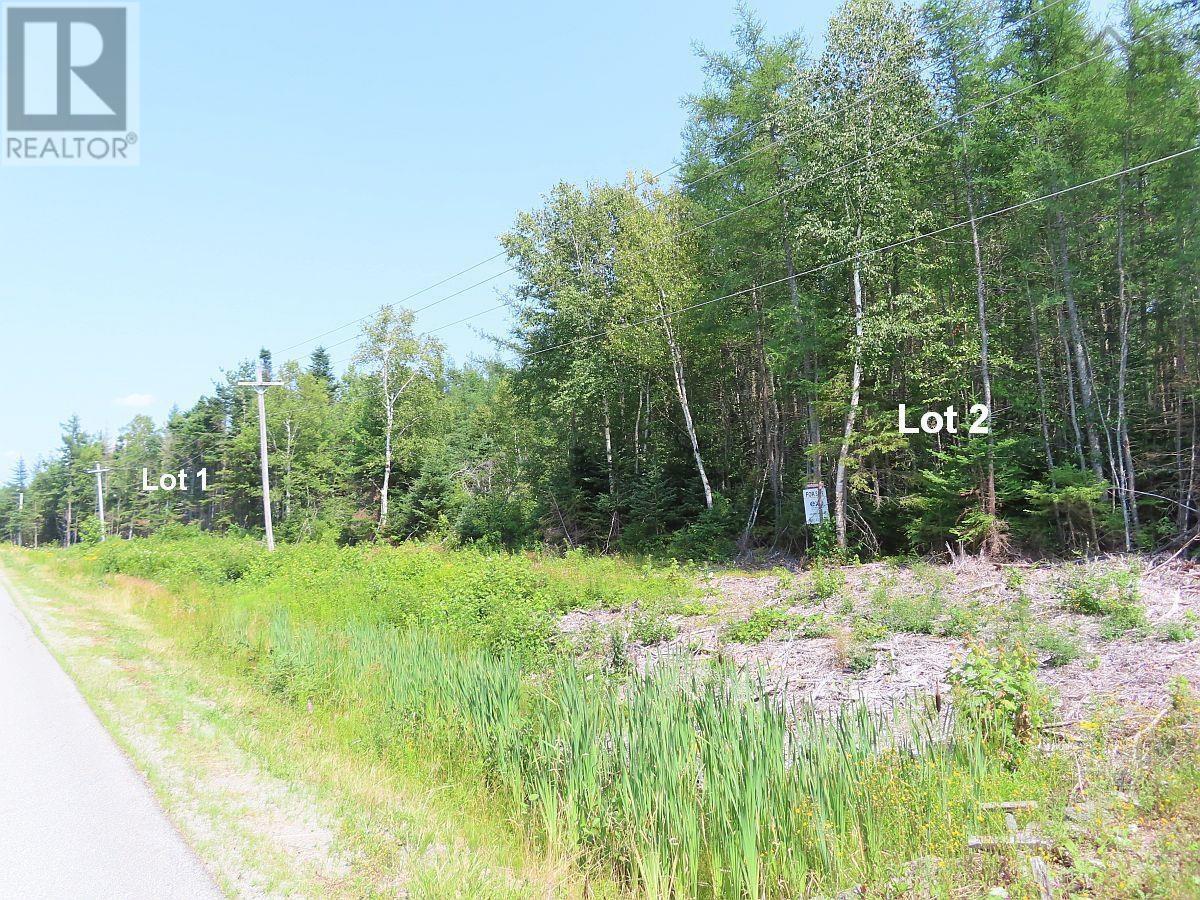 Lot 2 Lower River Road Property Photo 21