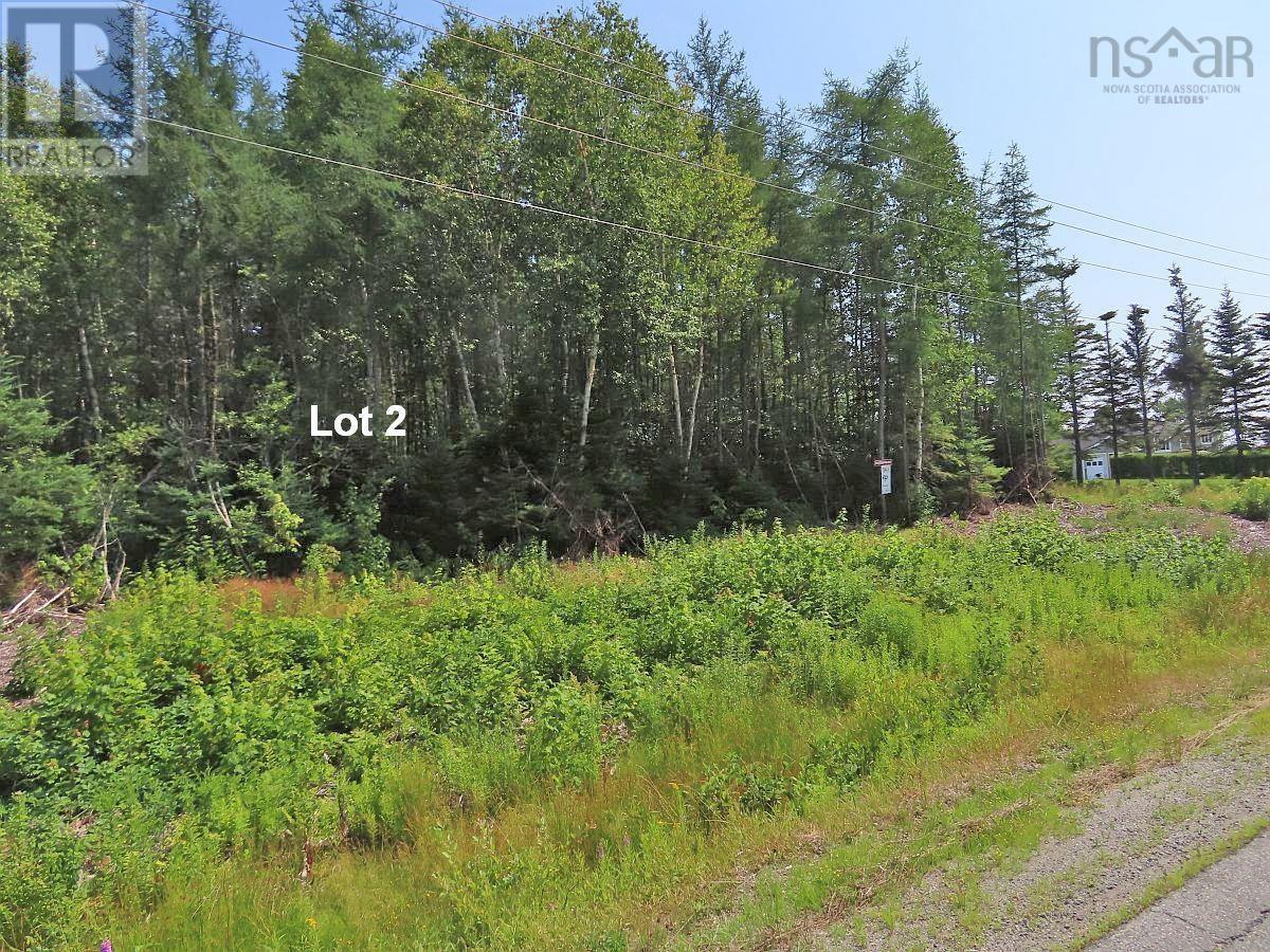 Lot 2 Lower River Road Property Photo 22