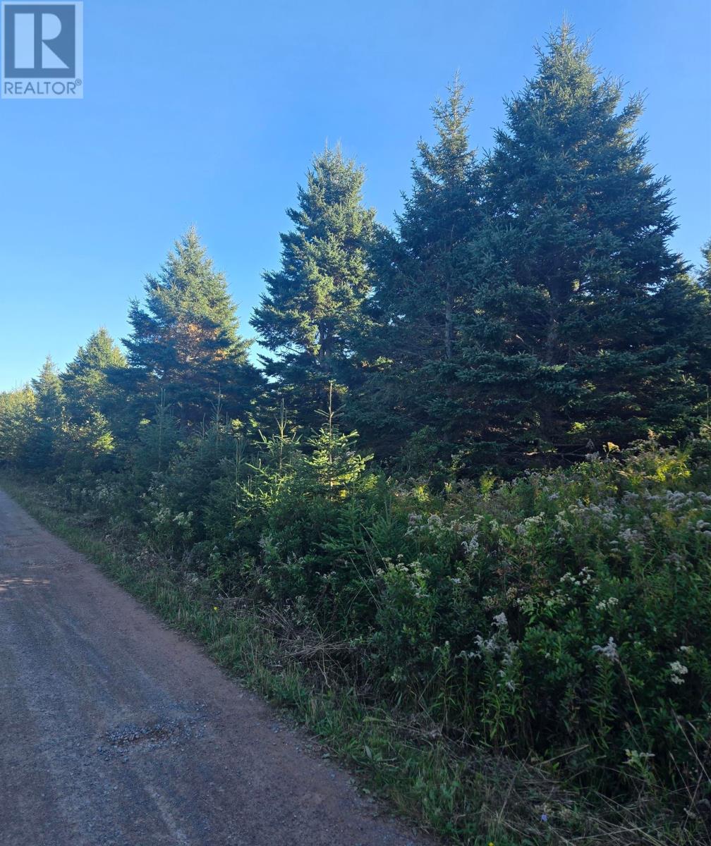 Lot 26 Kenneths Road Property Photo 4