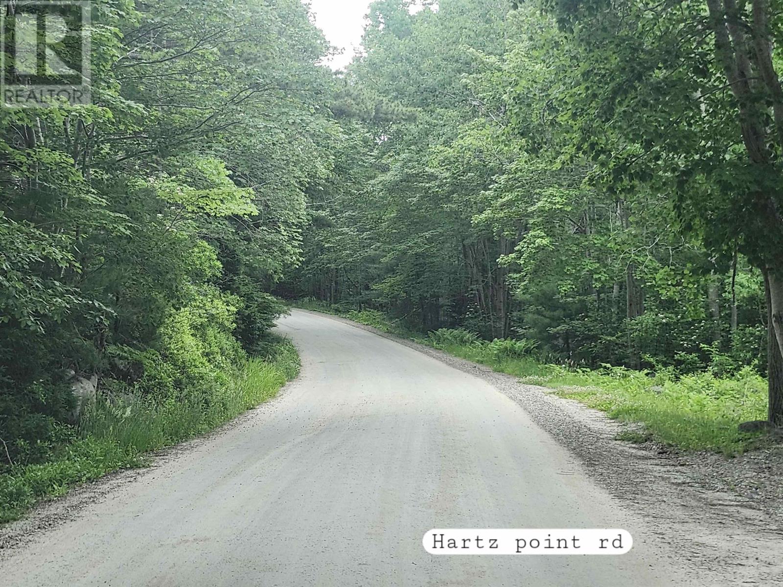 216 Hartz Point Road Property Photo 19