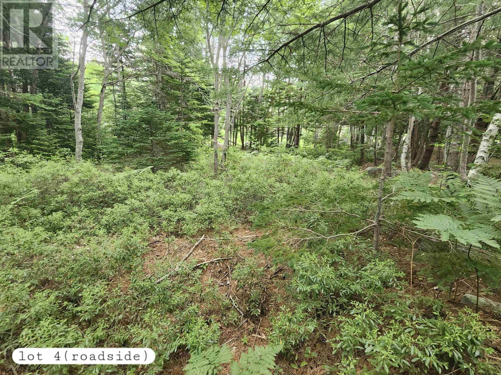 216 Hartz Point Road Property Photo 23