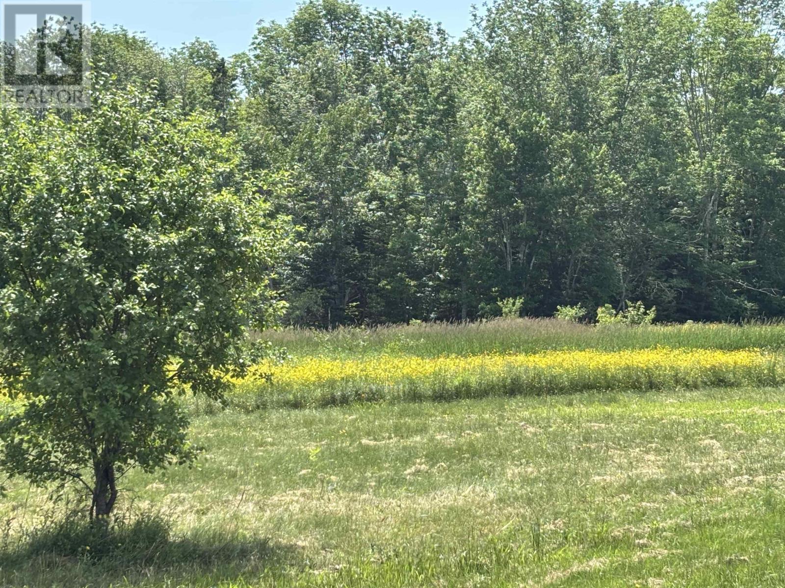 Lot 20-2b Highway 376 Property Photo 3