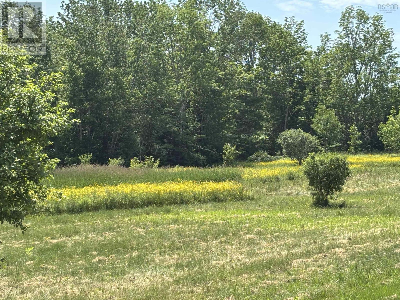 Lot 20-2b Highway 376 Property Photo 4