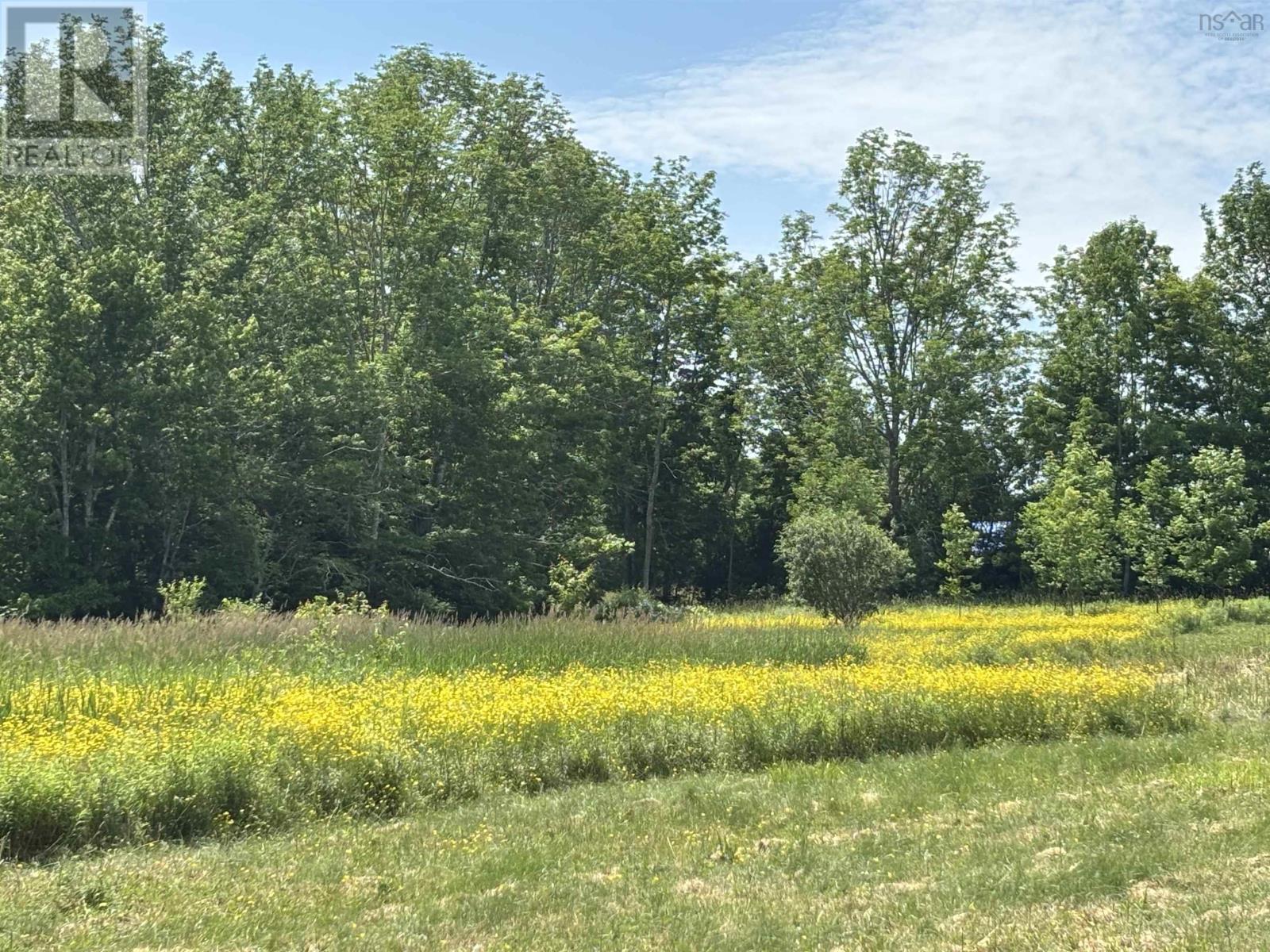 Lot 20-2b Highway 376 Property Photo 5