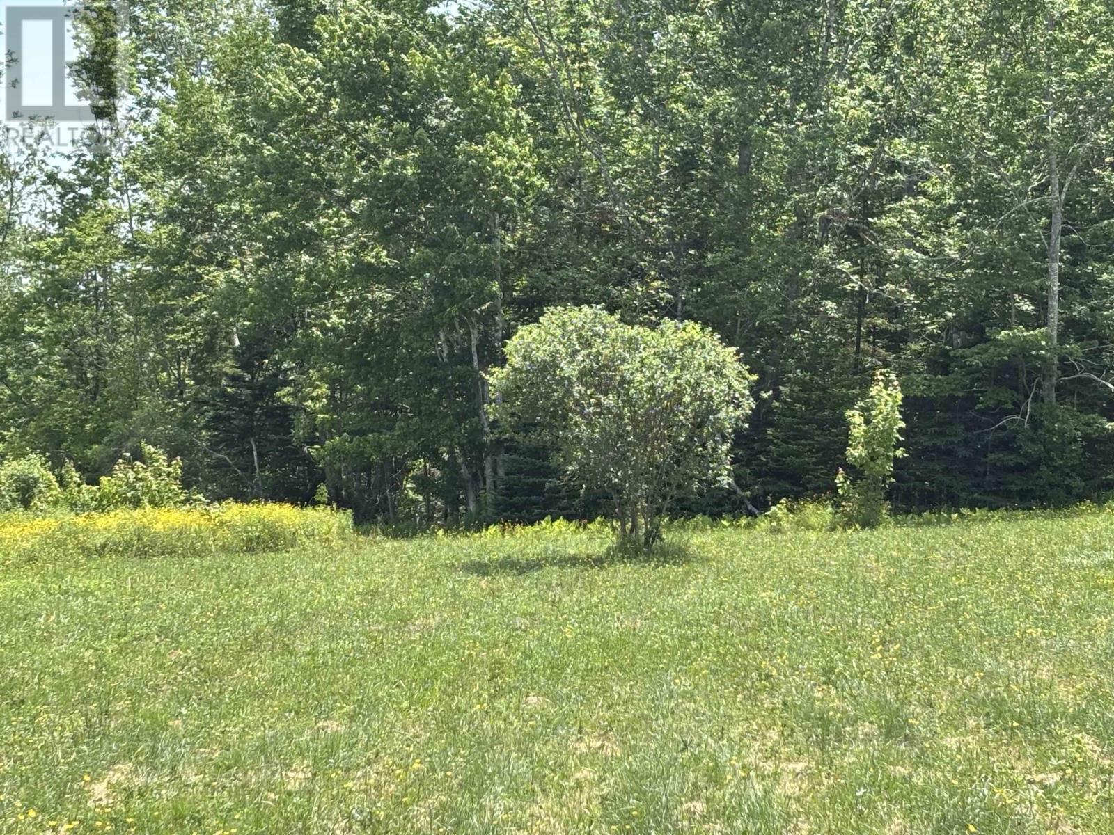 Lot 20-2b Highway 376 Property Photo 6