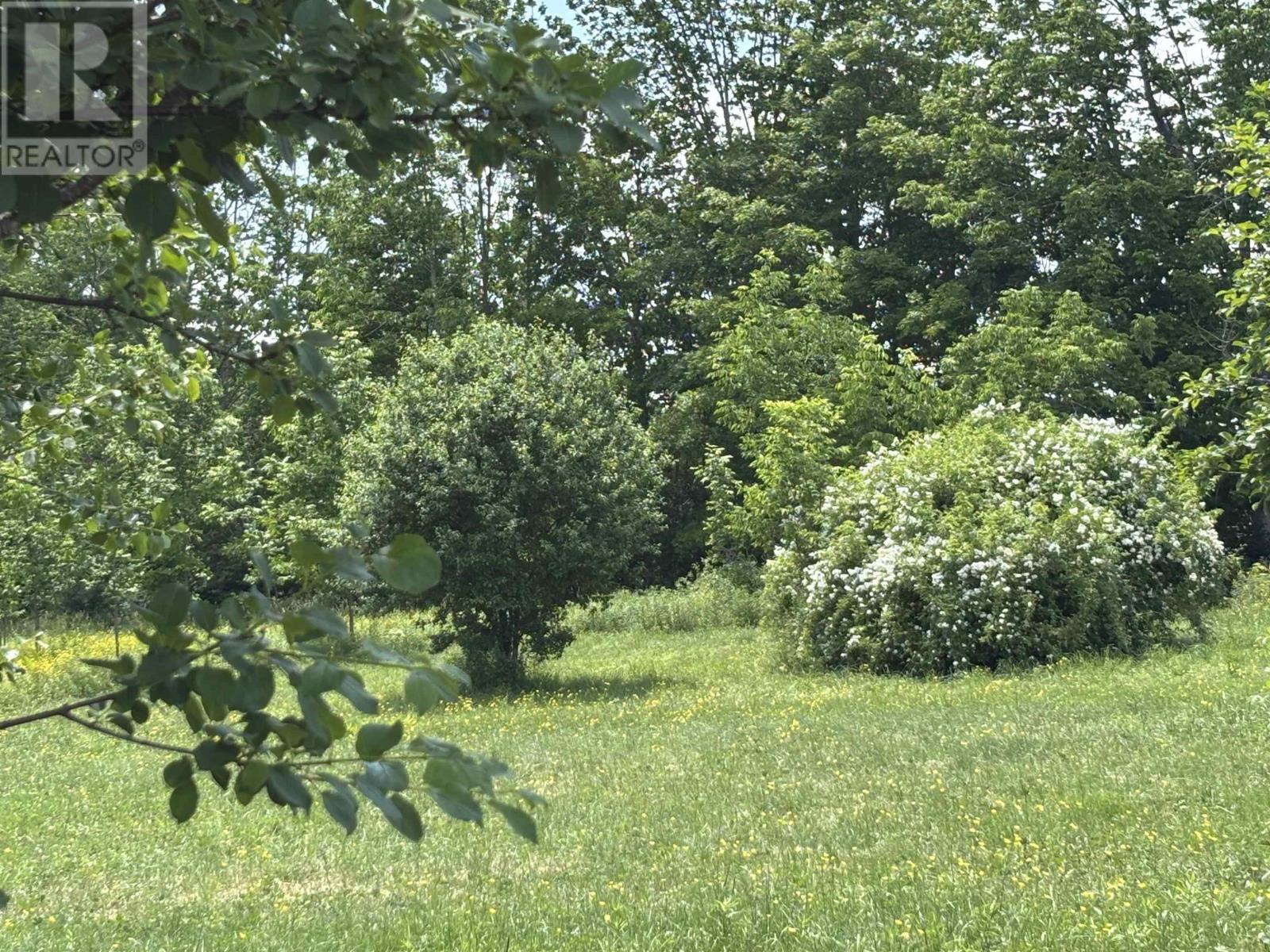 Lot 20-2b Highway 376 Property Photo 7