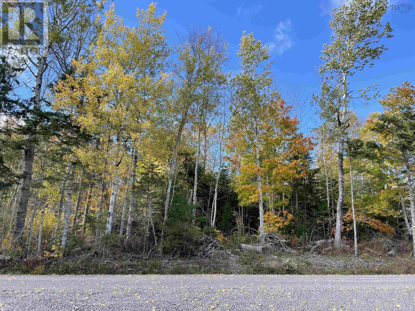 0.514 Acre Lot Owen Road Property Photo 2