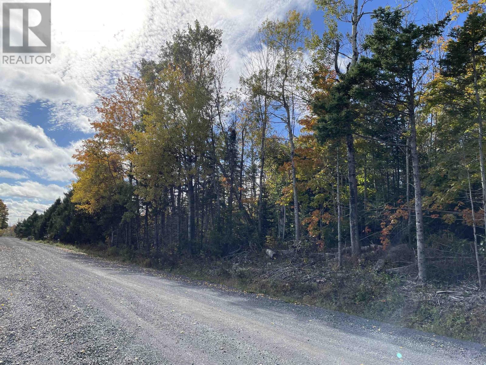 0.514 Acre Lot Owen Road Property Photo 5