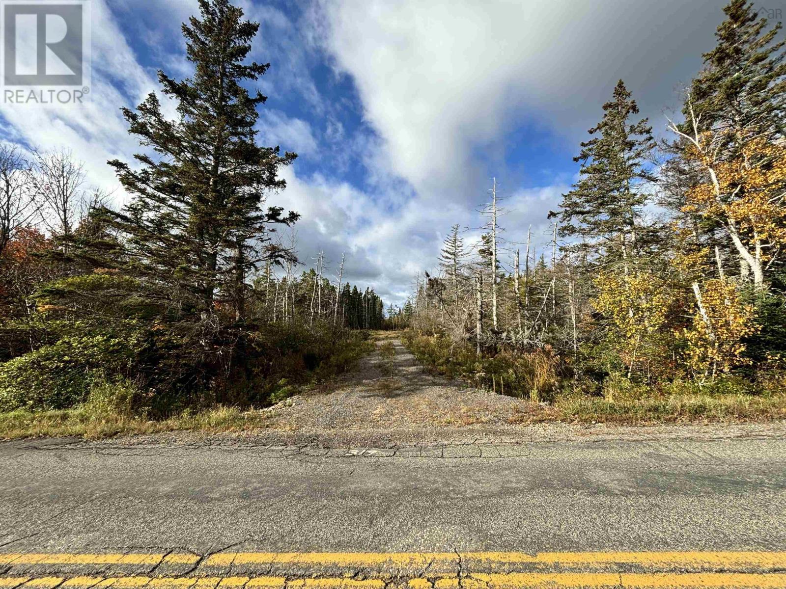 Highway 19 And East Street Property Photo 34