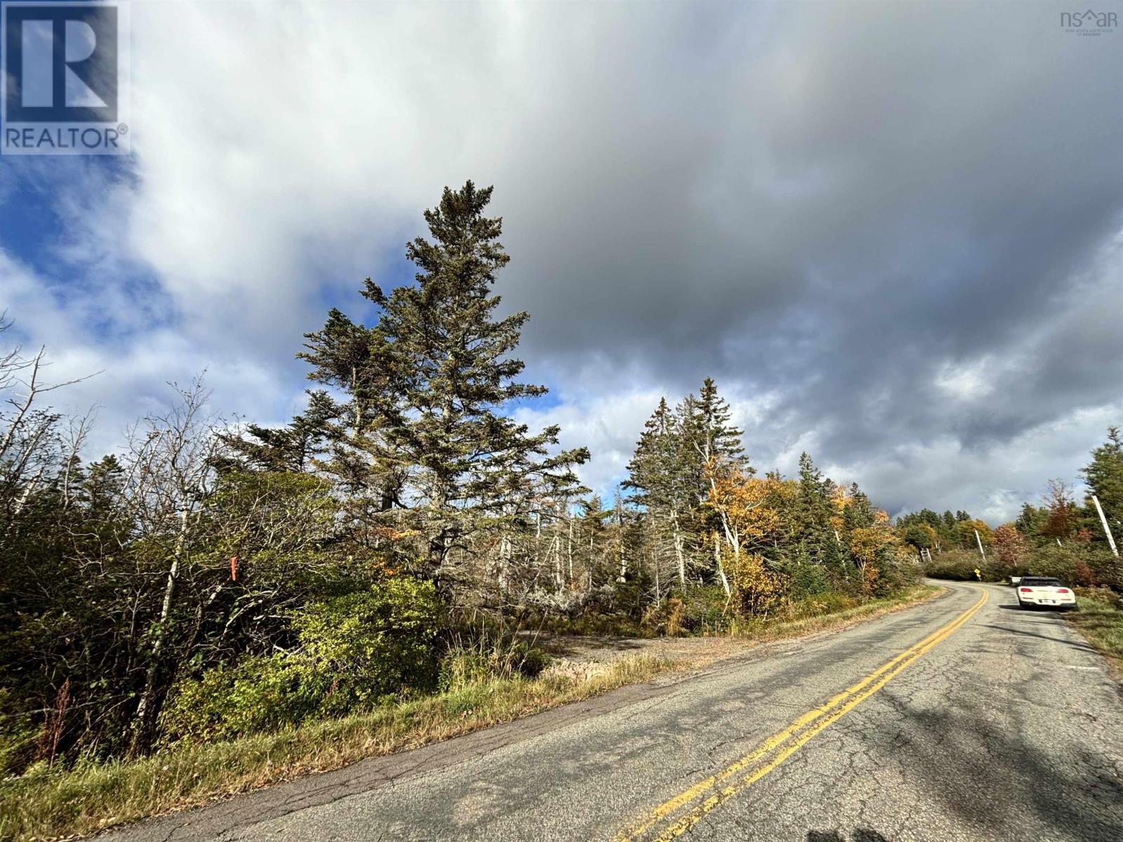 Highway 19 And East Street Property Photo 35