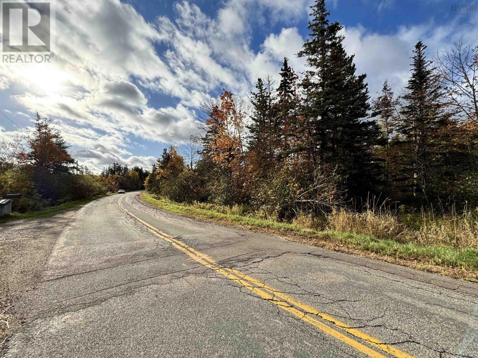 Highway 19 And East Street Property Photo 37