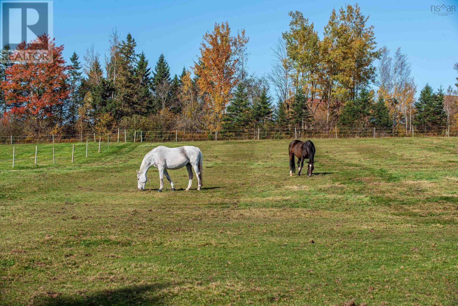13155 Highway 215 Property Photo 5