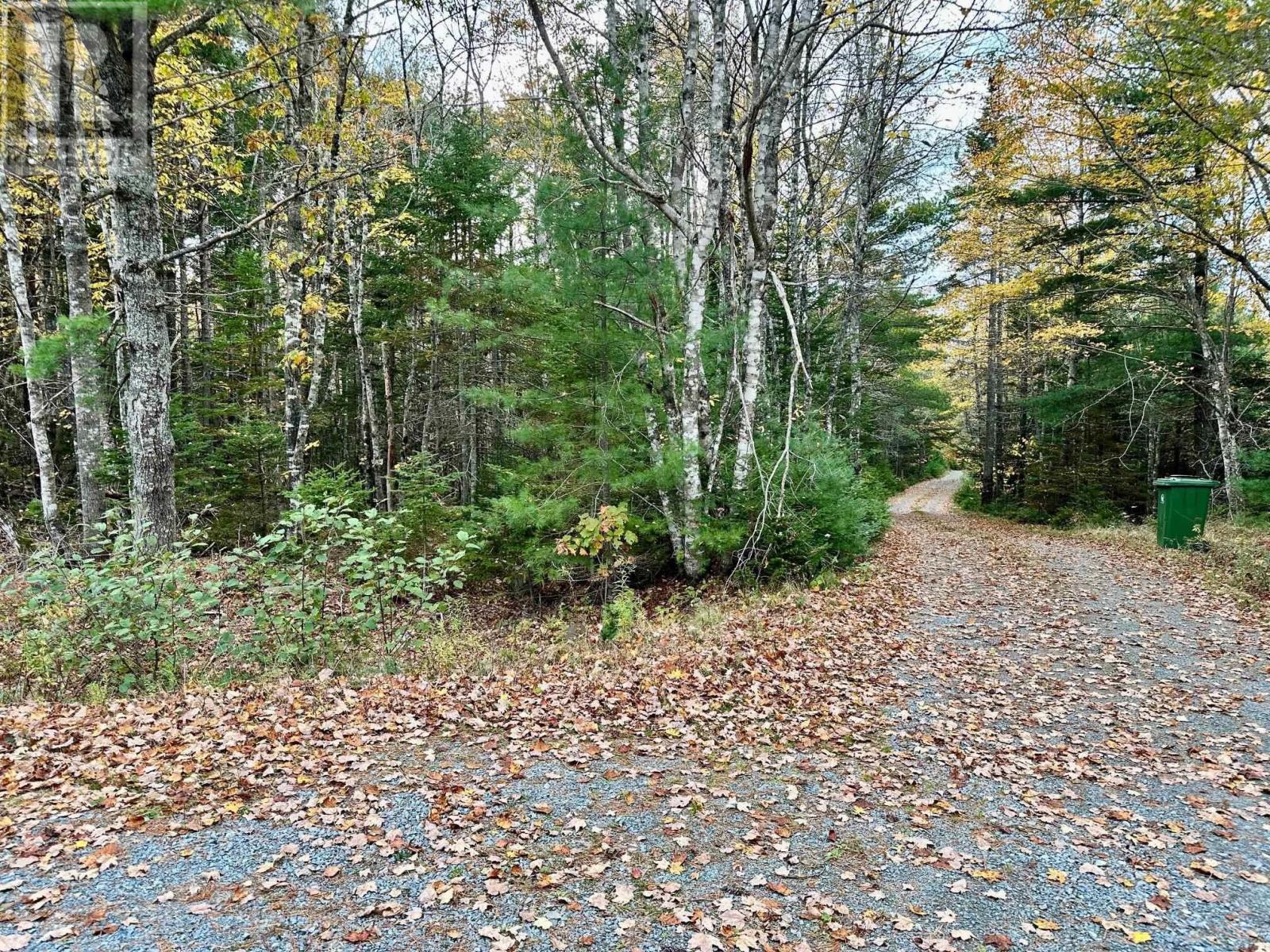 Lots Pid#70107438+70107461 Mill Village Road E Property Photo 3