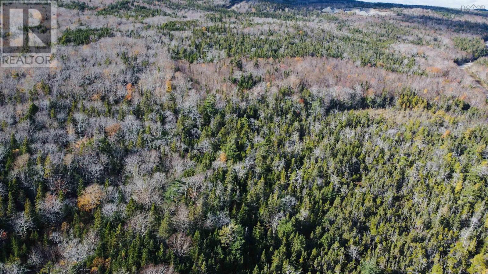 Mountain Road Property Photo 6