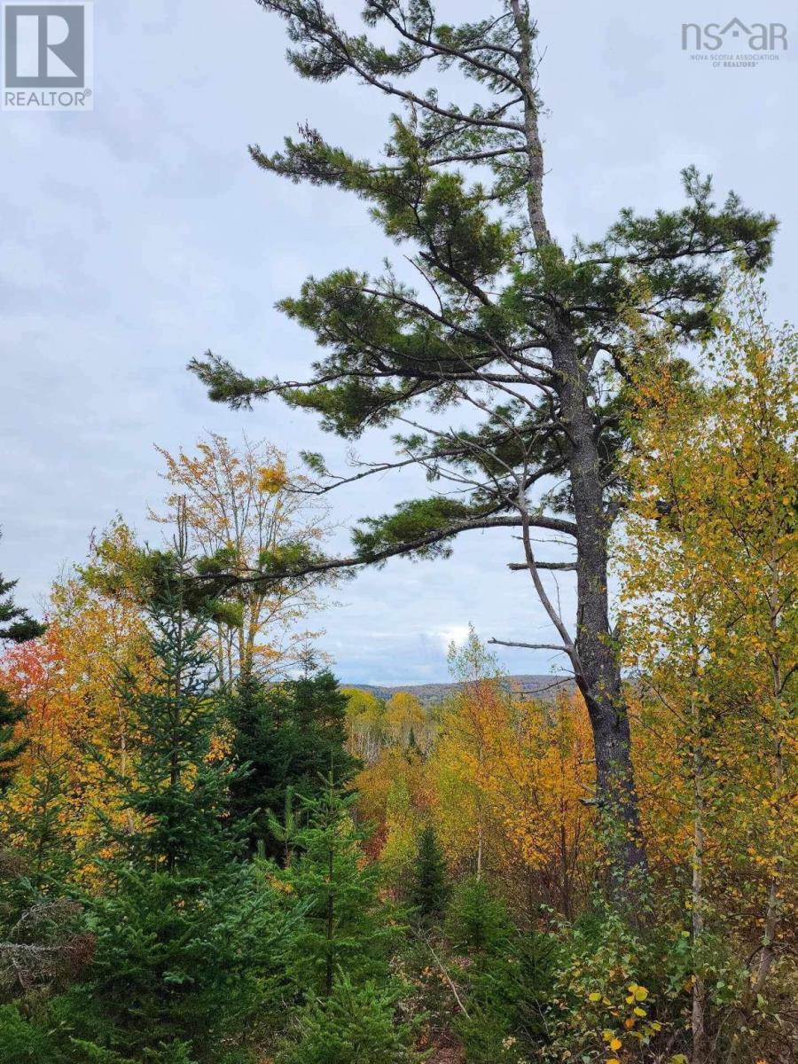 Lot 3b Highway 4 Property Photo 6